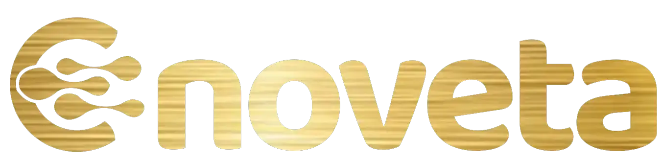 Enoveta Logo